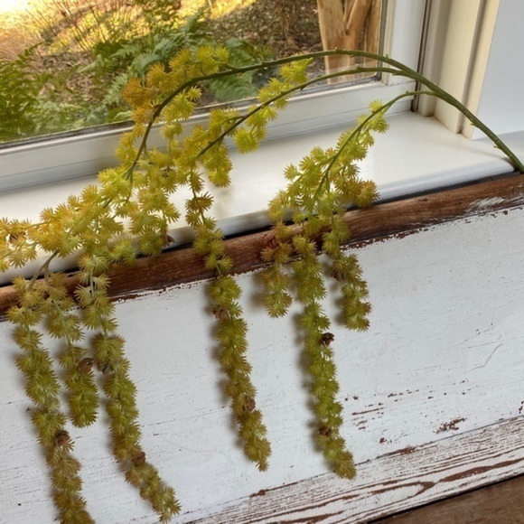 Anthropologie Terrain Trailing Succulent Spray - Picture 1 of 7